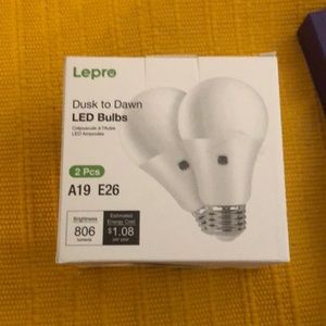 Dust to dawn lightbulb